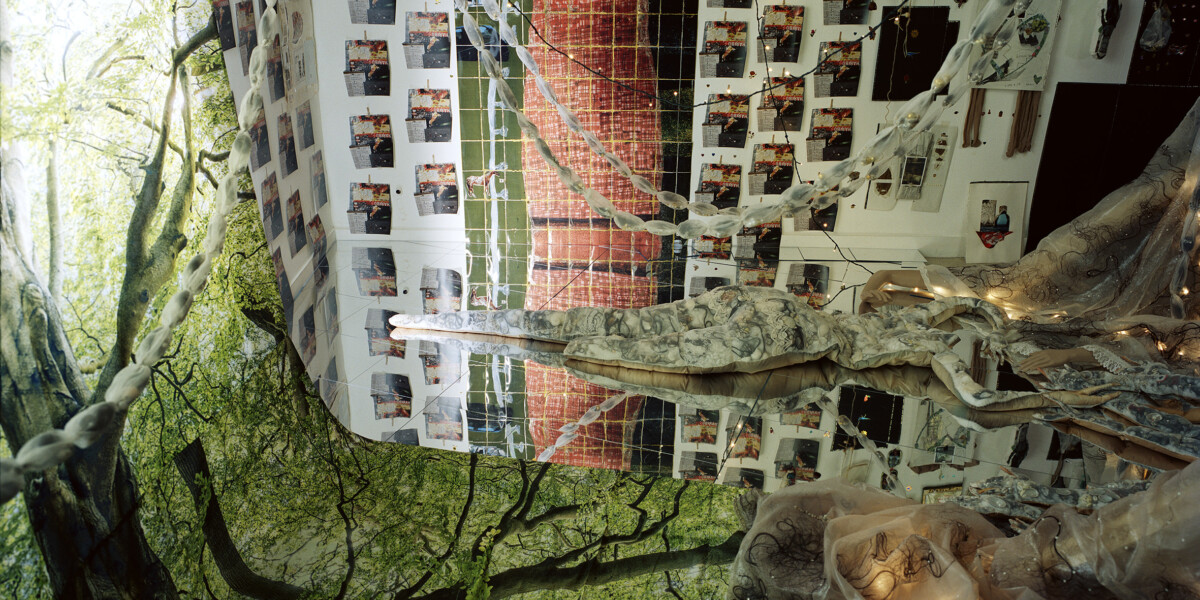 tree of life #002 (2024)