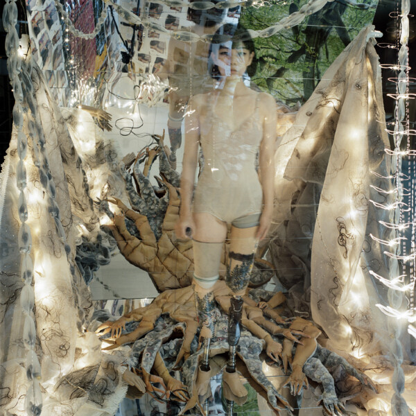 tree of life #009 (2024)