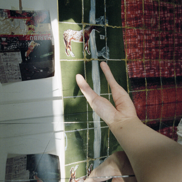 tree of life #026 (2024)