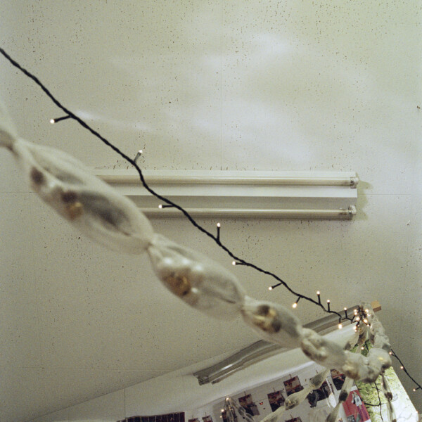 tree of life #029 (2024)