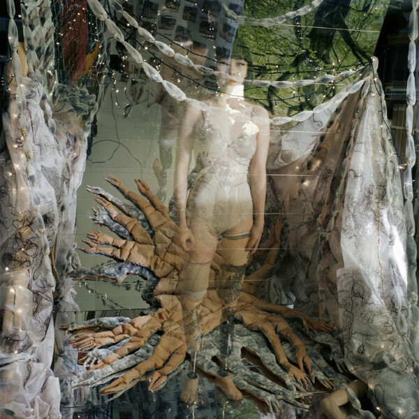 tree of life #011 (2025)