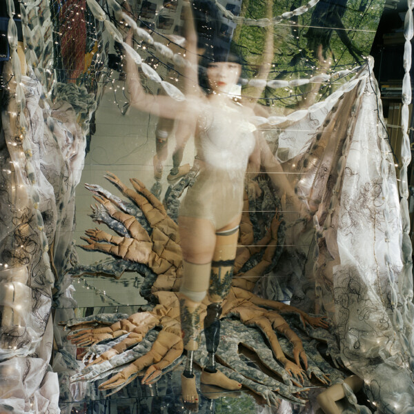 tree of life #012 (2025)