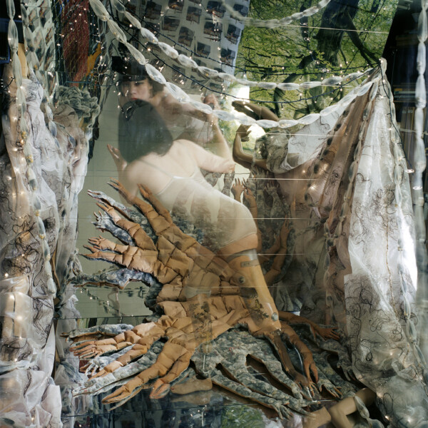 tree of life #013 (2025)