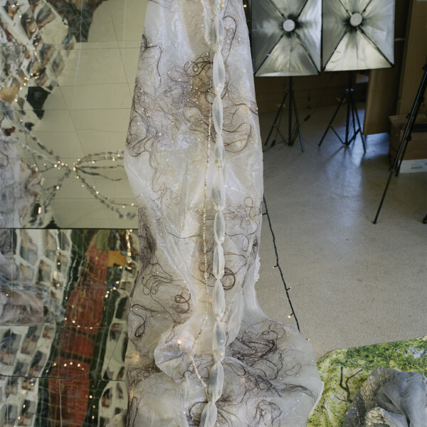 tree of life #025 (2025)